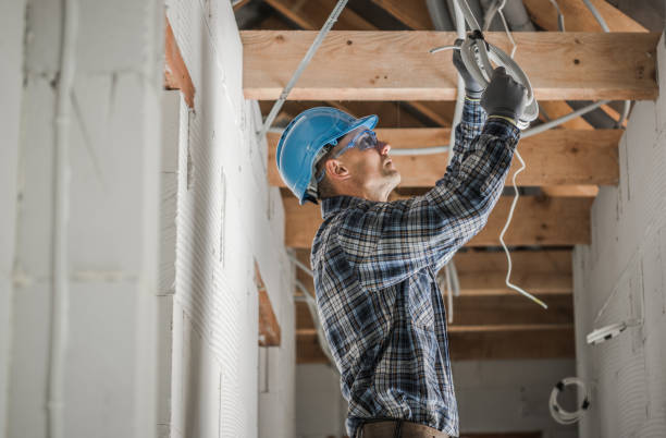Best Ceiling Fan Installation Electrician  in High Springs, FL